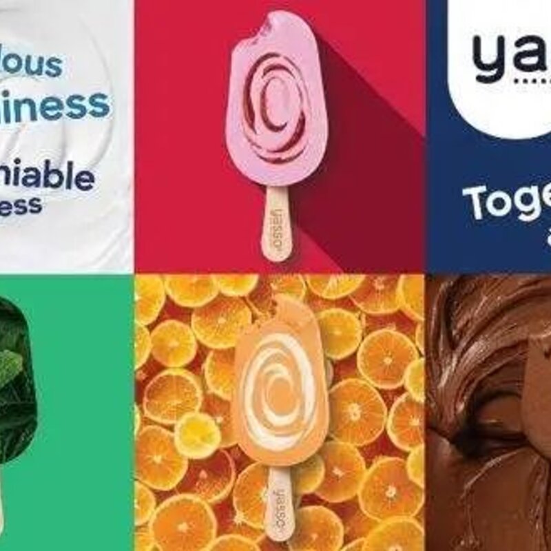 0蔗糖之后，冰淇淋创新还有啥玩法？(2)