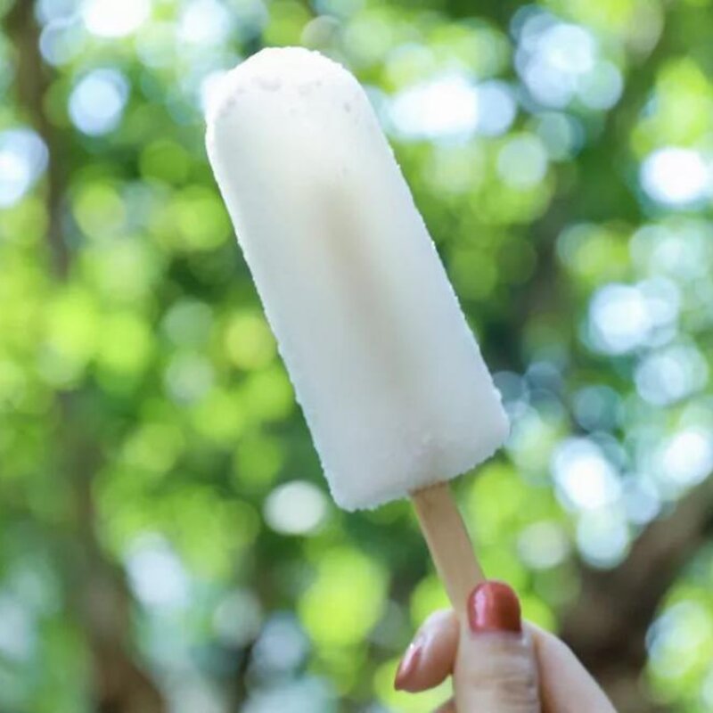 90后童年冰淇淋图鉴！每一款放学后都吃过！(16)