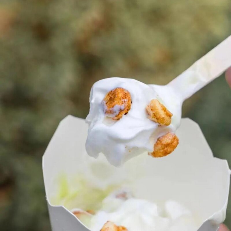 春天第一支冰淇淋，你吃的啥？(14)