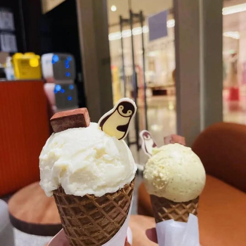 春天第一支冰淇淋，你吃的啥？(19)