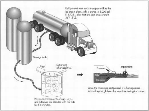 冰淇淋是什么时候出现的(原来冰激凌是这样制作出来的)(10) 冰淇淋是什么时候出现的(原来冰激凌是这样制作出来的)(10)