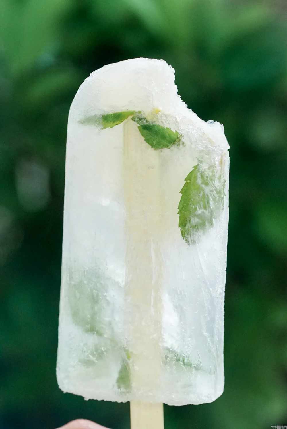 自制棒冰怎么做（简单且颜值高的棒冰教程）(12)