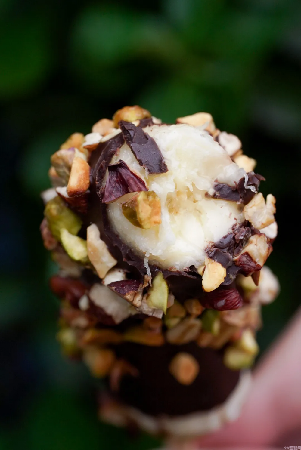 自制棒冰怎么做（简单且颜值高的棒冰教程）(23)