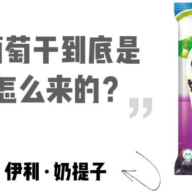 四个圈雪糕是什么牌子（盘点记忆中的那支雪糕）(11)