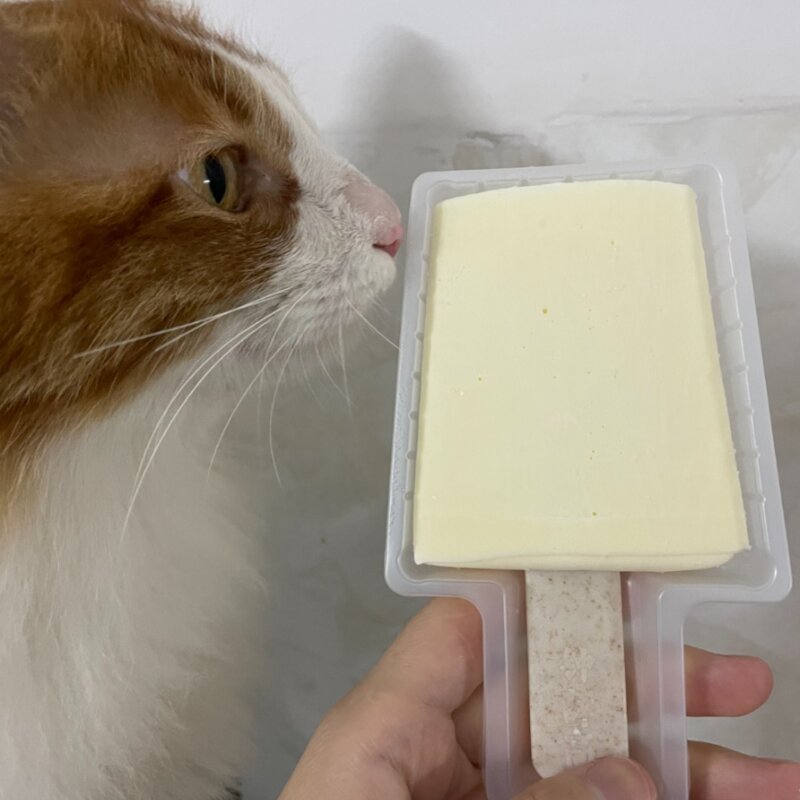 五羊牌雪糕多少钱一个（在广东网红雪糕比得上五羊吗）(13)