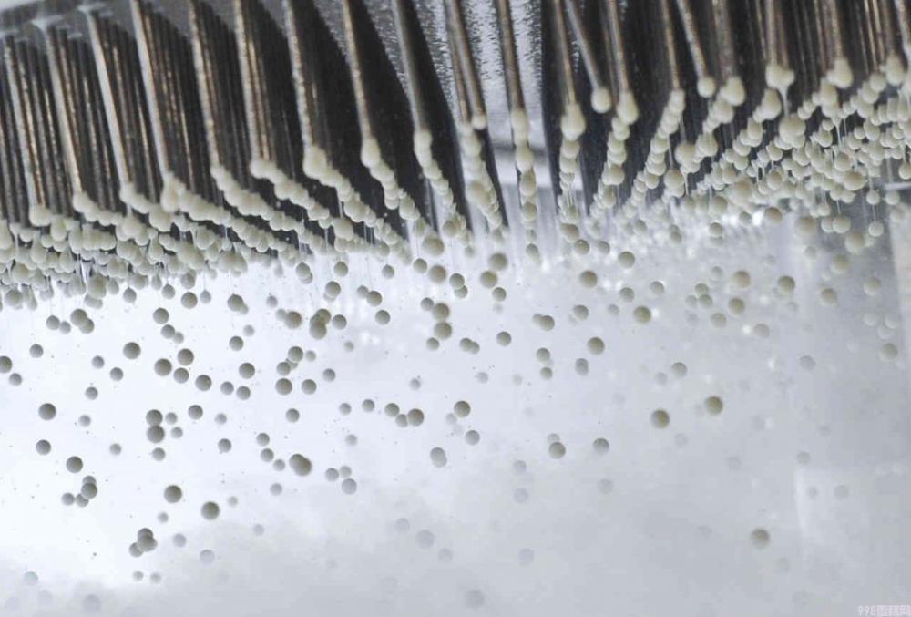 粒粒雪糕怎么做（创新点用零下196度的低温）(2)