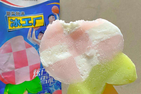 /uploads/image/2022/01/11/0ed0edf6df8de6cb2c1be3433d24b3b8.png 加盟冰工厂雪糕品牌需要多少资金(解析冰工厂雪糕加盟费用包括哪些)(1)