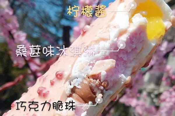 双黄蛋雪糕多少钱 双黄蛋雪糕好吃吗 双黄蛋雪糕多少钱(解析双黄蛋雪糕好吃吗)(3)