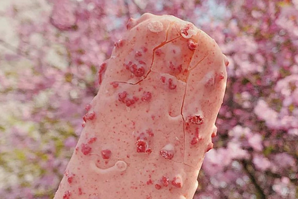 双黄蛋雪糕多少钱 双黄蛋雪糕好吃吗 双黄蛋雪糕多少钱(解析双黄蛋雪糕好吃吗)(2)