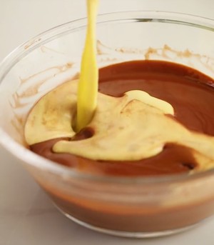 钟薛高怎么做（简单几步教你自制雪糕界的劳斯莱斯）(6)