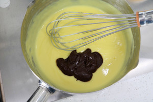  超浓郁巧克力冰淇淋（详细教程的做法）(9)