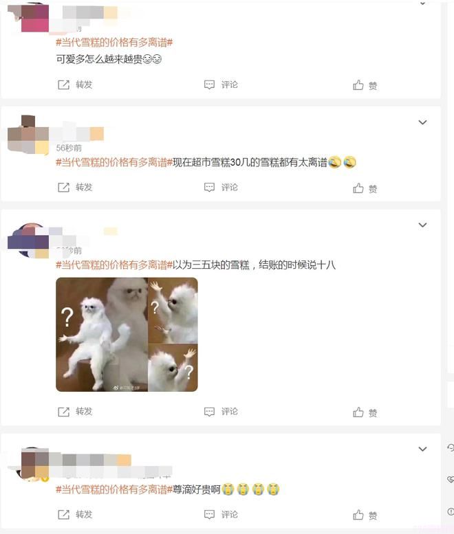 今年雪糕为什么这么贵（来聊一聊大家回忆中的雪糕）(4)