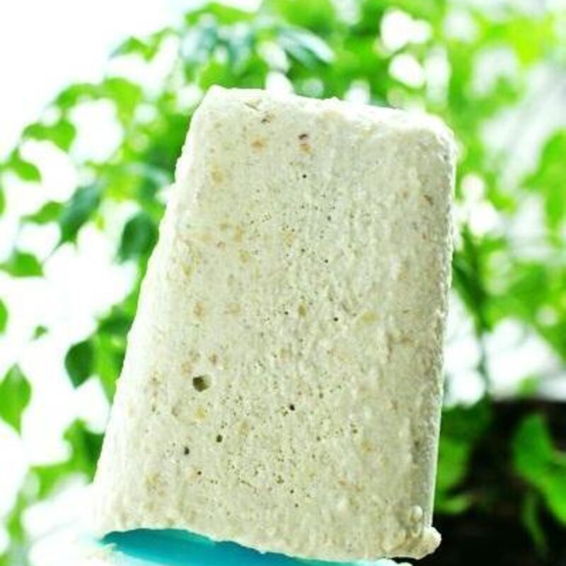 夏天自制雪糕攻略（解析怎么做怎么吃才最安全）(1)