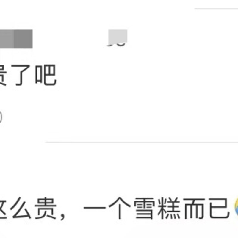 小布丁雪糕多少钱一只（当代雪糕的价格有多离谱）(4)