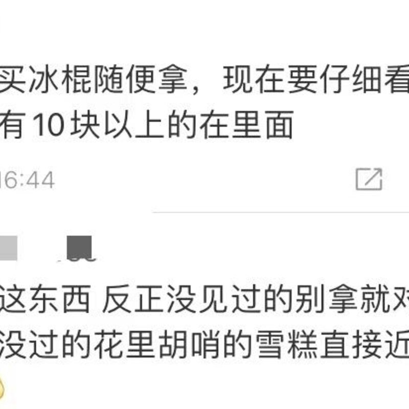 小布丁雪糕多少钱一只（当代雪糕的价格有多离谱）(6)