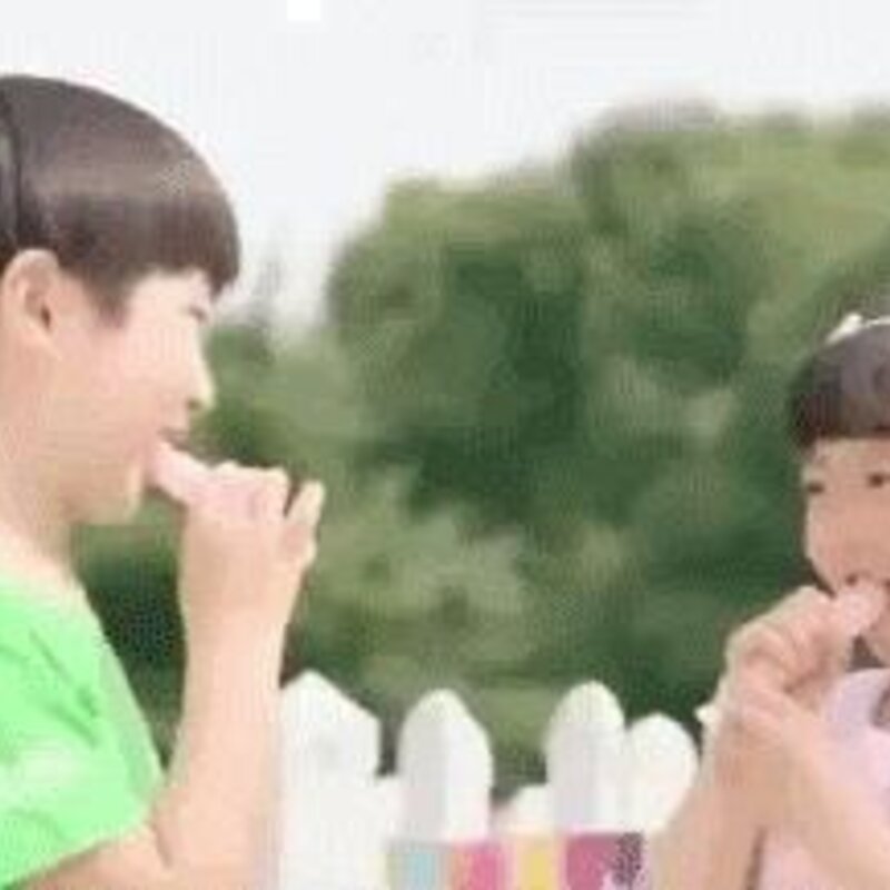 夏天没有雪糕怎么行（吐血整理30款本命雪糕全吃过算你赢）(11)