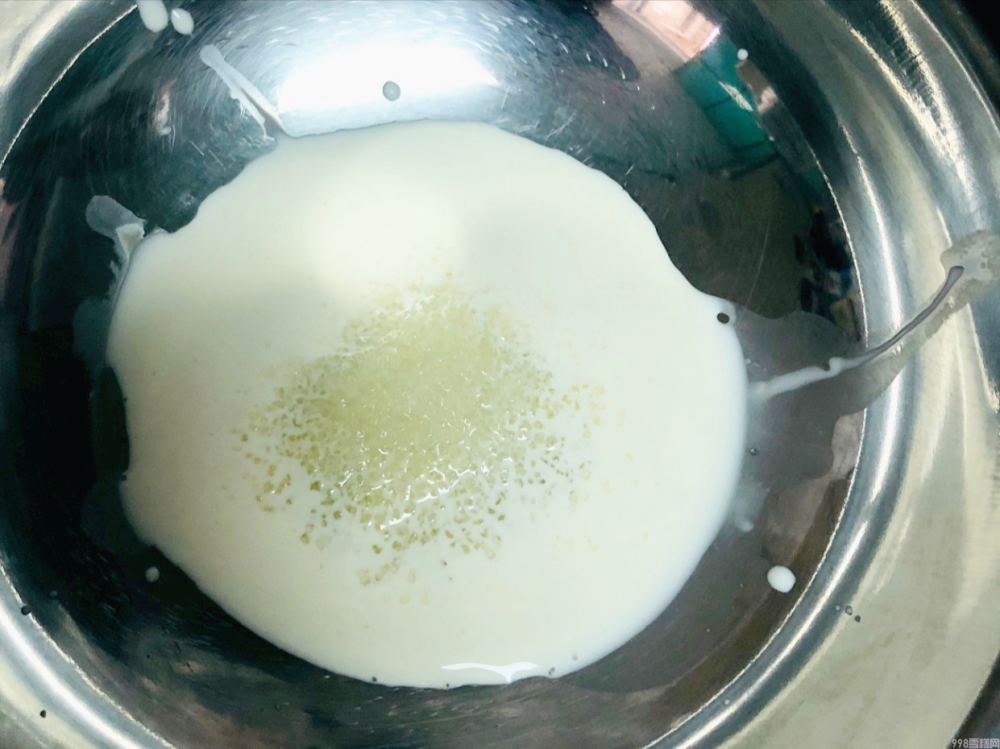 绿豆雪糕自己在家怎么做(教你在家做绿豆雪糕)(6) 绿豆雪糕自己在家怎么做(教你在家做绿豆雪糕)(6)