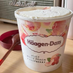 随变雪糕平价雪糕（你吃过几种呢）