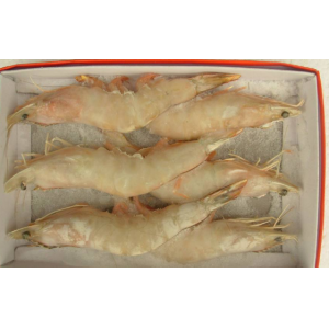冷冻食品批发行业好做吗？一般利润有多少？