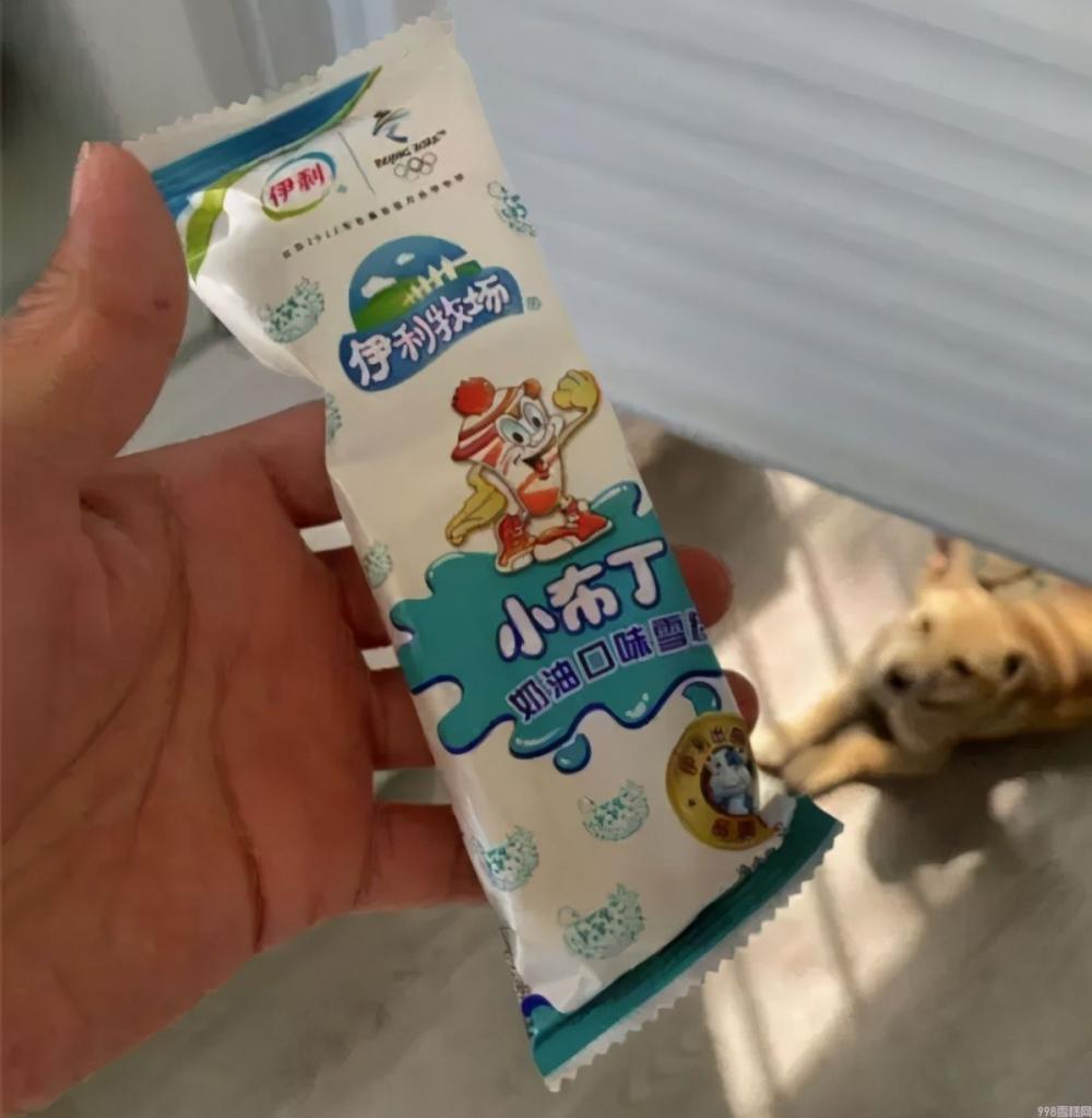 几十年来经久不衰的6种“老牌雪糕”，廉价好吃，你还会买吗？(7)