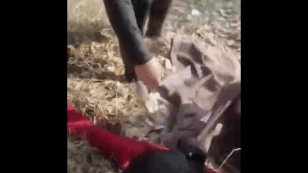 妈,你可太能干了(生命如此可贵,值得每个人珍重以对)(图4) 妈,你可太能干了(生命如此可贵,值得每个人珍重以对)(4)